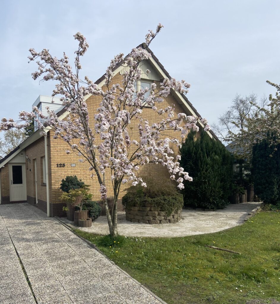 Foto van het vooraanzicht van vakantiehuis de Zeerob in Lauwersoog.