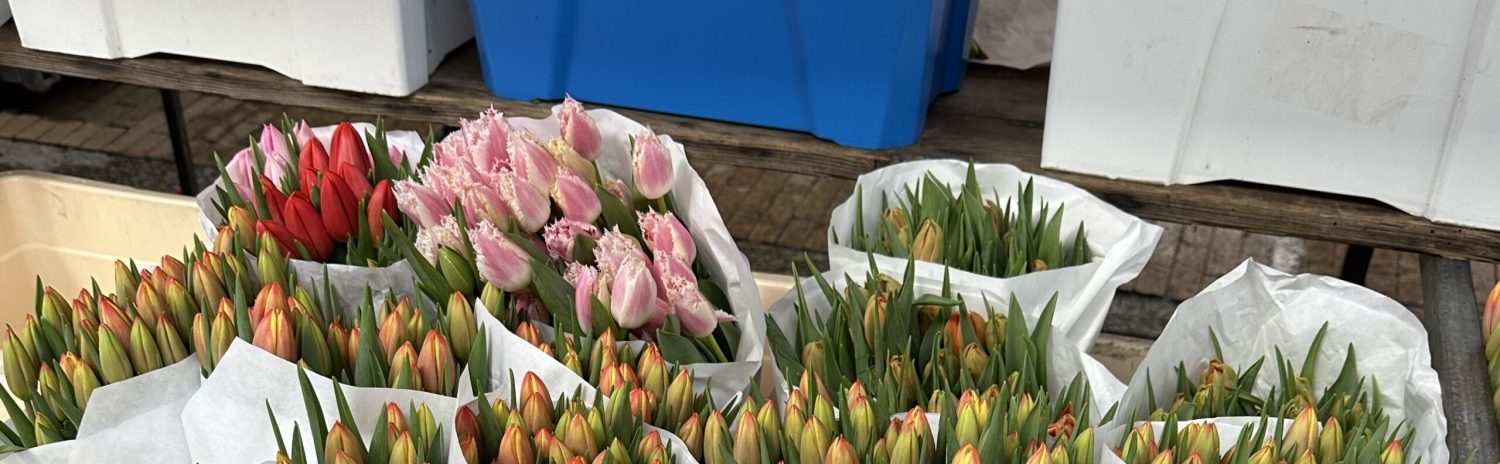 Bloemetjesmarkt 2024 Groningen