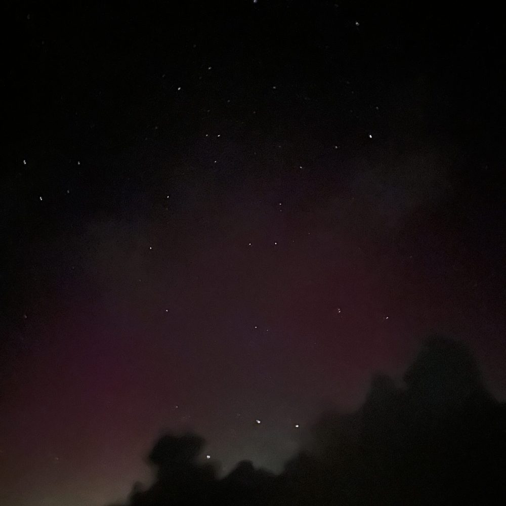 Noorderlicht Lauwersoog